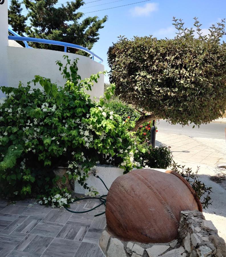 Lovely 1-Bedroom Unit @ Fabulous Location Pafos Exterior foto